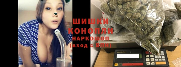 ПСИЛОЦИБИНОВЫЕ ГРИБЫ Арсеньев