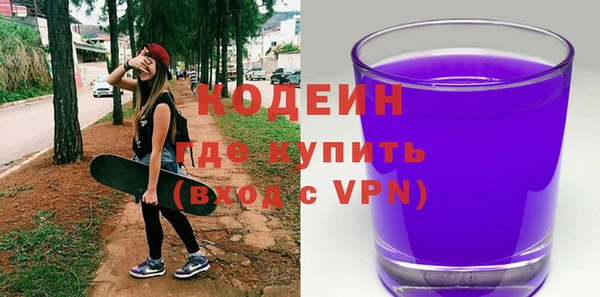ПСИЛОЦИБИНОВЫЕ ГРИБЫ Арсеньев
